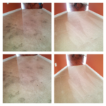 Carpet Cleaning Before and After Columbia South Carolina